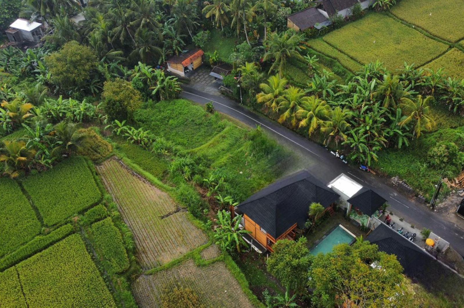 Harmony Wooden Villas 乌布 外观 照片